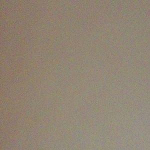 Meet your Posher, Marylynn